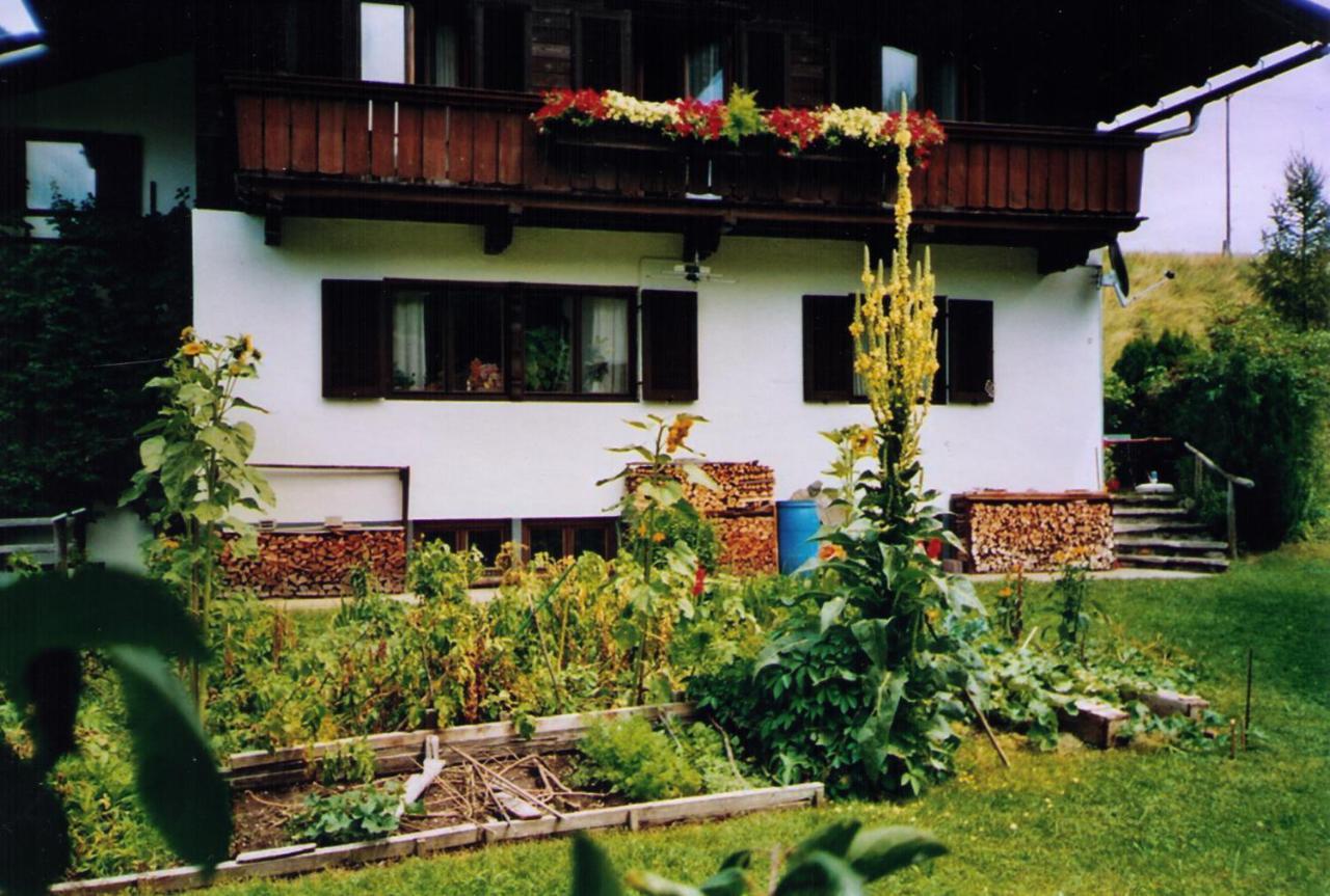 Haus Berauer Villa Fieberbrunn Dış mekan fotoğraf